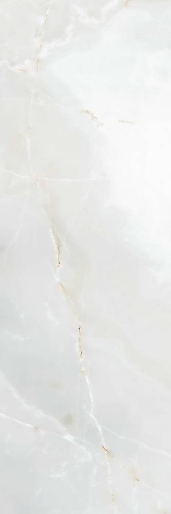 Onice Blanco Pulido (120х360)