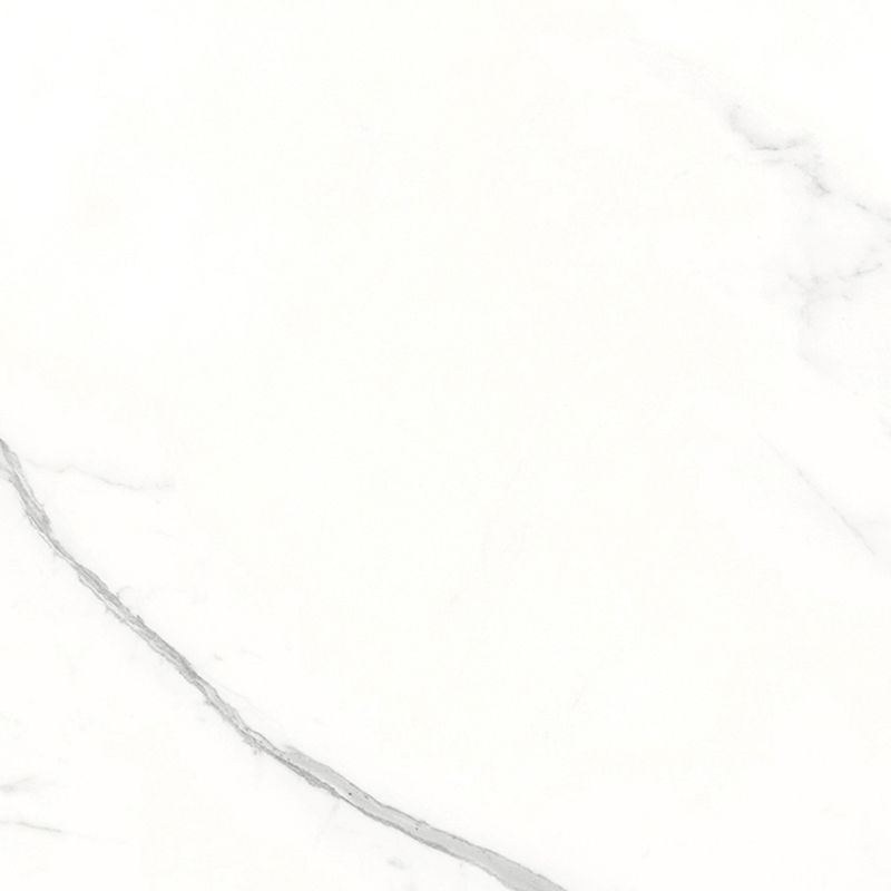G2528 ARIA WHITE NATURE (120x120)