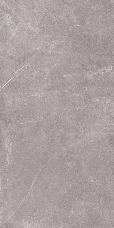 Archistone 2 Meta Grey Crs 0200343 (60x120)