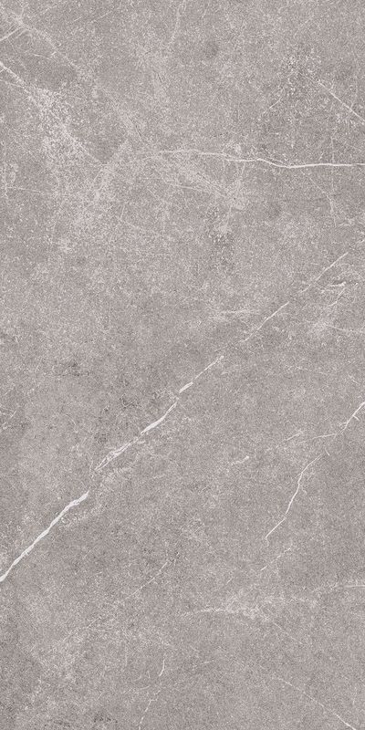 Archistone 2 Meta Grey Nt 0200381 (30x60)