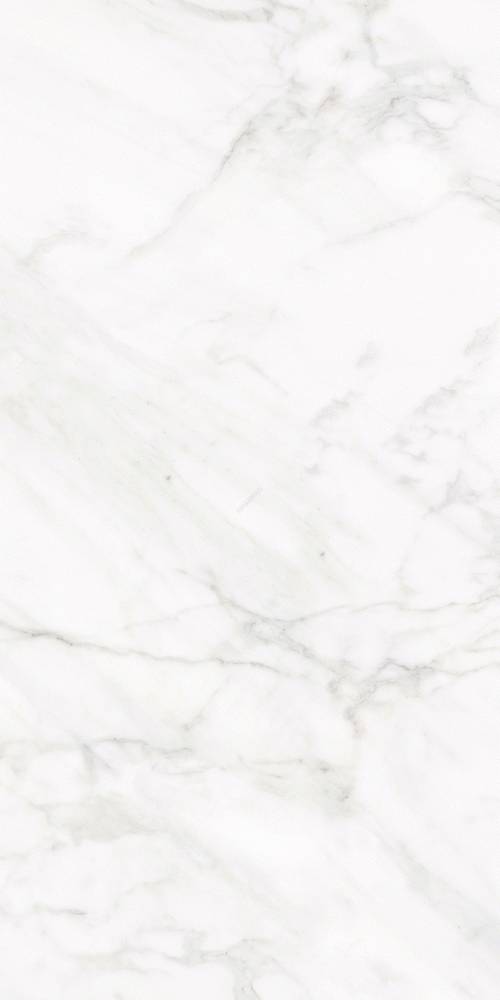 TILE POLISHED FROST WHITE 01 BIALY (59.7X29.7)