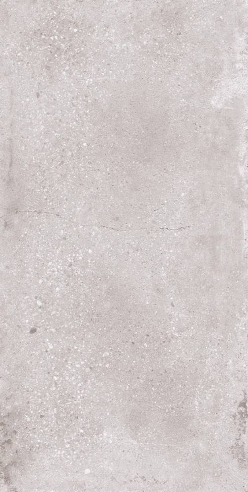 TILE NATURAL GEOTEC 12 SZARY (119.7x59.7)