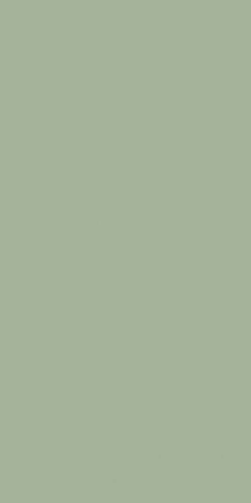 FEELINGS GREEN SCIANA REKT. (29,8X59,8)