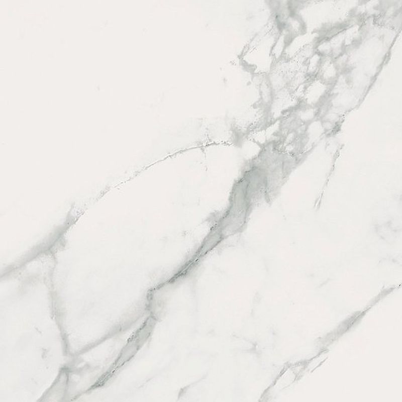 CALACATTA MARBLE WHITE (59,8X59,8)