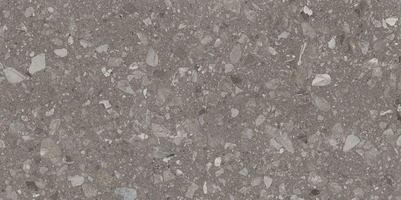 Terra Greige F PC 600x1200x8 R Sugar (60X120)